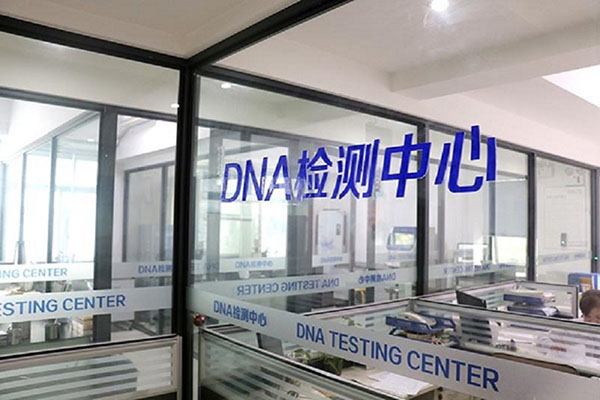 青岛DNA检测多少钱合适（探索DNA检测的实惠解决方案） 